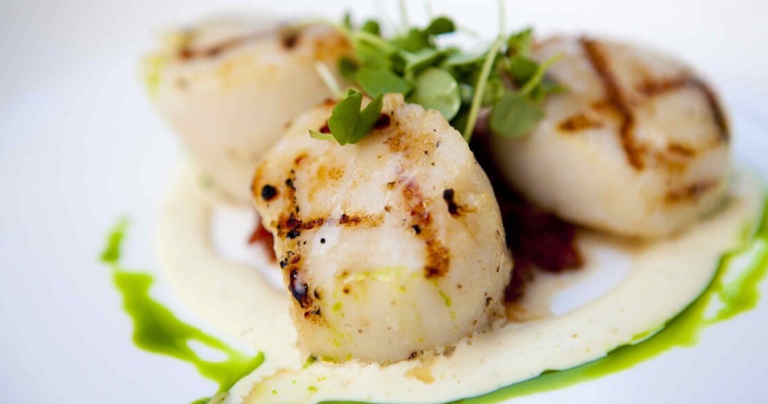 Luxury chalets with delicious food and wine - seared scallops - yum