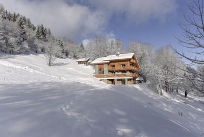 Luxury chalets Meribel - Chalet Alya