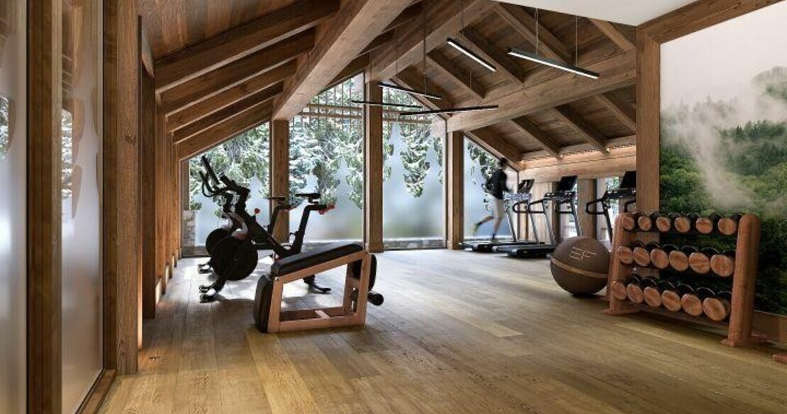 Luxury apartment Bois des Ours 301 - Meribel